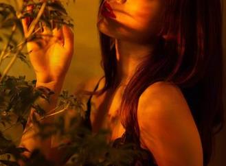 partycat轰趴猫 – 在线高清，梦心玥的万圣节：化妆不化妆，反正都是鬼！