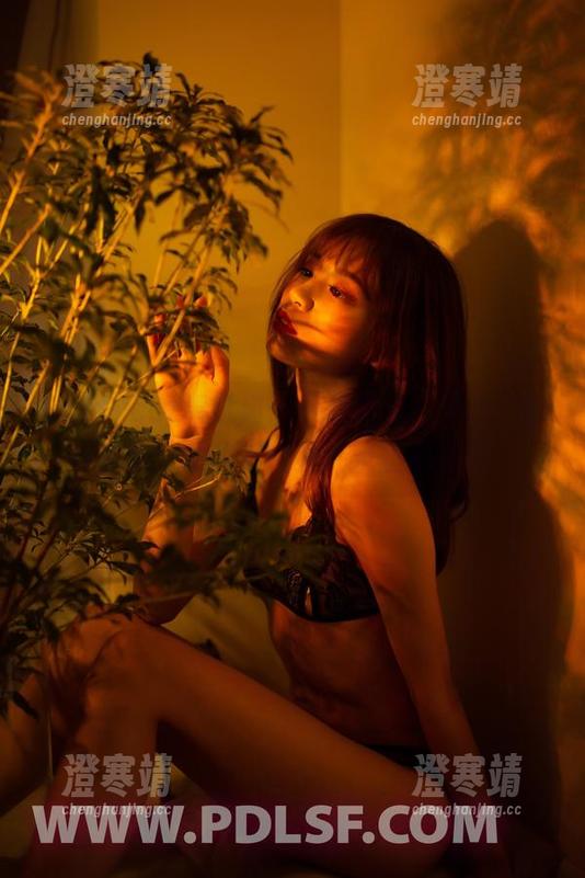 partycat轰趴猫-梦心玥 partycat轰趴猫 - 在线高清,梦心玥的万圣节:化妆不化妆,反正都是鬼!