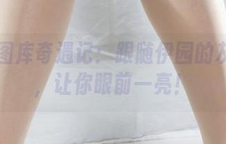丽柜 – 图库奇遇记：跟随伊园的灰丝之旅，让你眼前一亮！