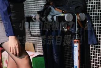 异思趣向 – 小小的旗袍魅力：最新图包，大家闺秀亲自揭秘！