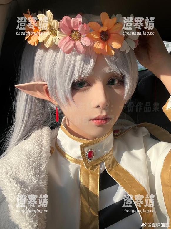 短裙与腥味猫罐的奇妙组合：一份作品集资源让你目不转睛！