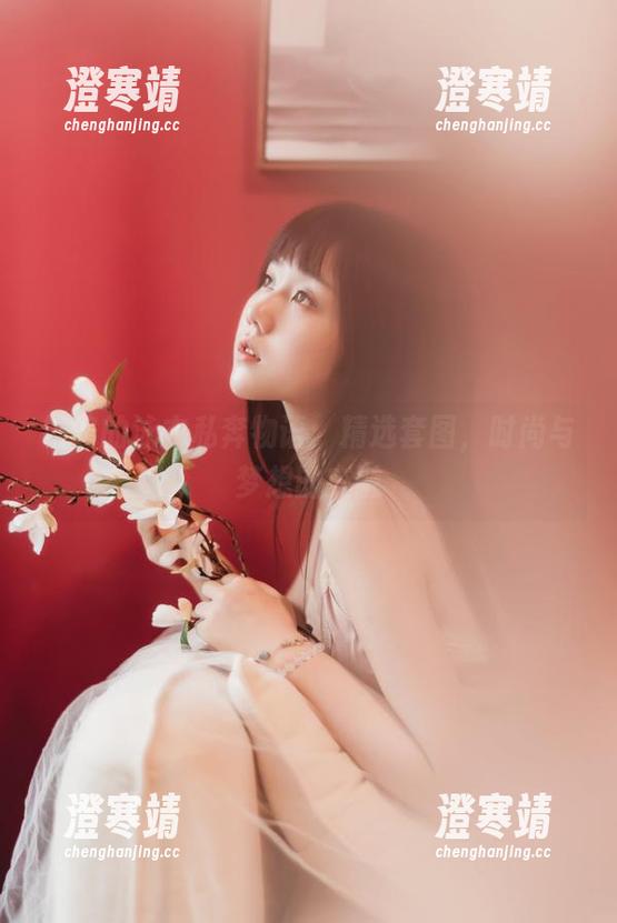 镜酱的泳衣私奔物语：精选套图，时尚与梦想的交融